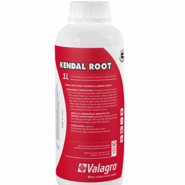 Kendal Root - Fortalecimento radicular!